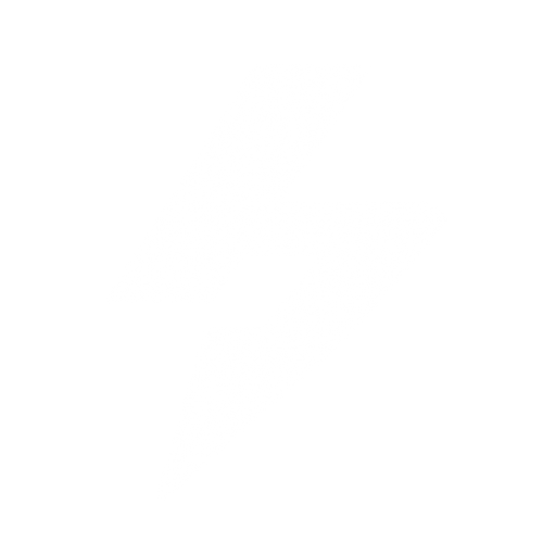 BlackStrike Logo