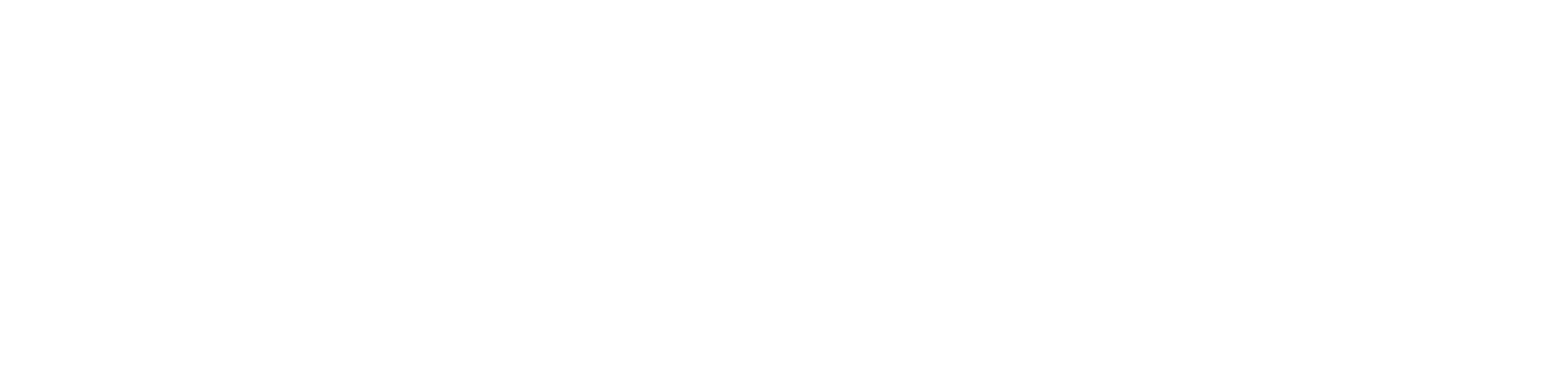 BlackStrike Wordmark